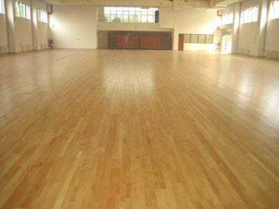 體育木地板 體育木地板