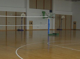 實(shí)木運(yùn)動(dòng)地板 實(shí)木運(yùn)動(dòng)地板