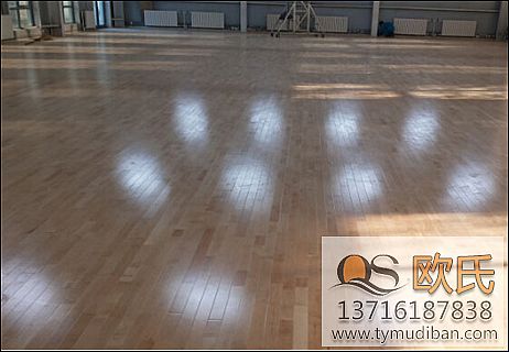 運動木地板 運動木地板