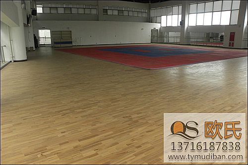 籃球?qū)嵞具\(yùn)動(dòng)地板,籃球運(yùn)動(dòng)地板,籃球?qū)嵞镜匕? alt=