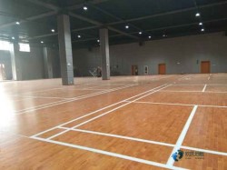 ��ľ�@���\�ӵذ屣�B