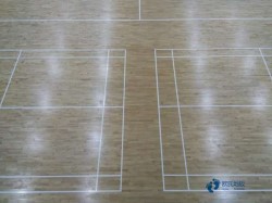 供應(yīng)運動木地板怎么保養(yǎng)