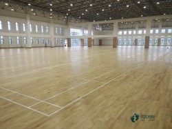 室內運動場地木地板施工隊