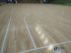 籃球場館地板免費(fèi)