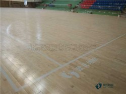 購買體育場(chǎng)地木地板行業(yè)品牌